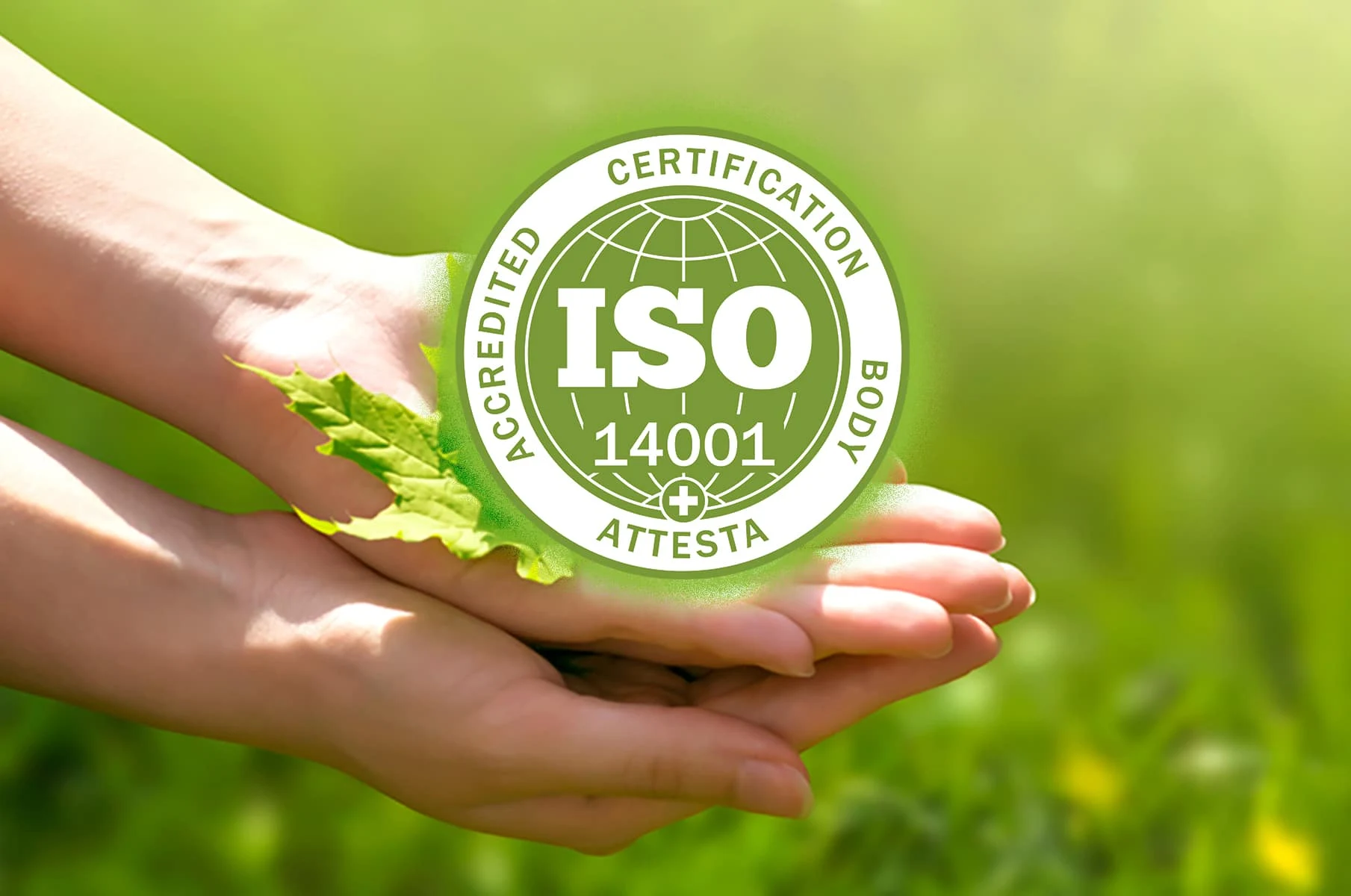 ISO 14001 environmental management system certification scope and coverage